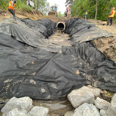 20240911_231242333_iOS